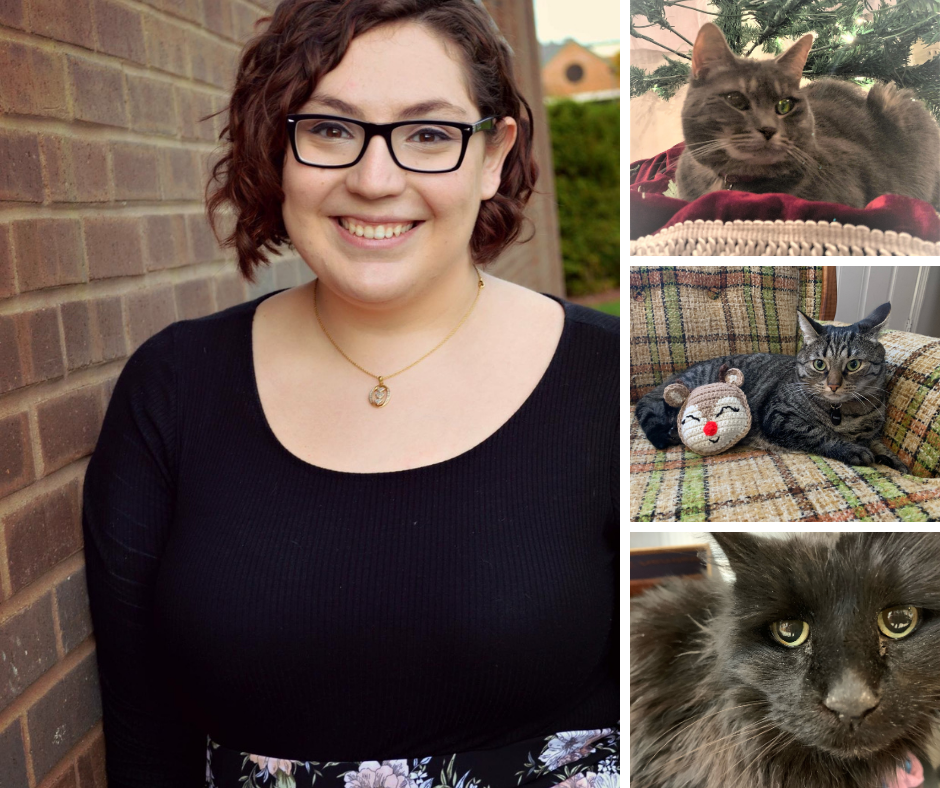 Edgefield Veterinary Hospital, LLC, Hampstead, NH 03841 Our Staff